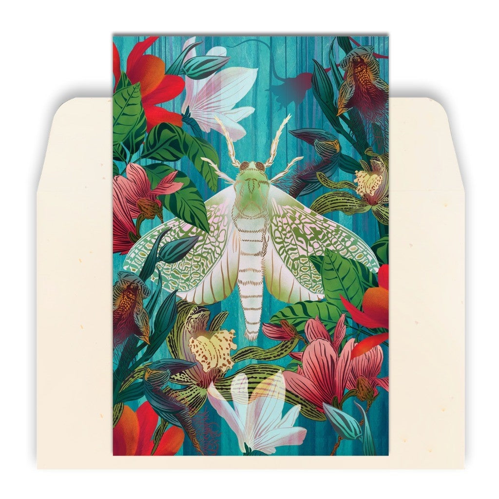 FLOX White Moth &amp; Orchid greeting card front with envelope