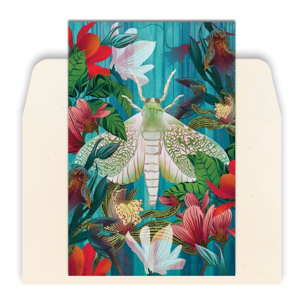 Flox | White Moth &amp; Orchid Card - Cove. Beach Essentials