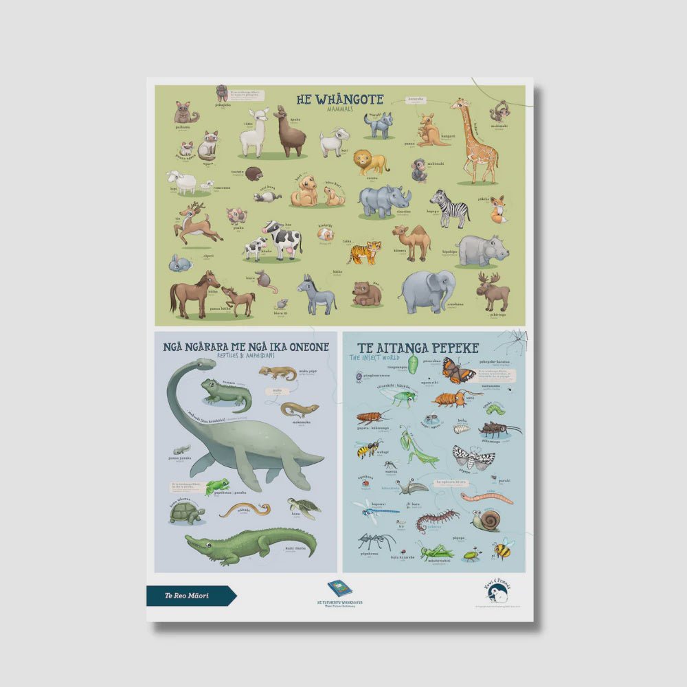 Illustrated Publishing - Poster A2 - Mammals - Te Reo Māori - Cove. Beach Essentials