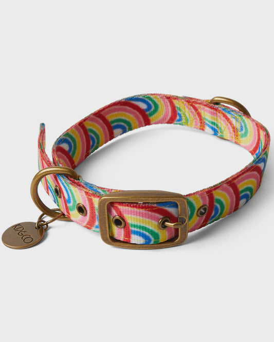 Kip & Co | Rainbow Spray Dog Collar