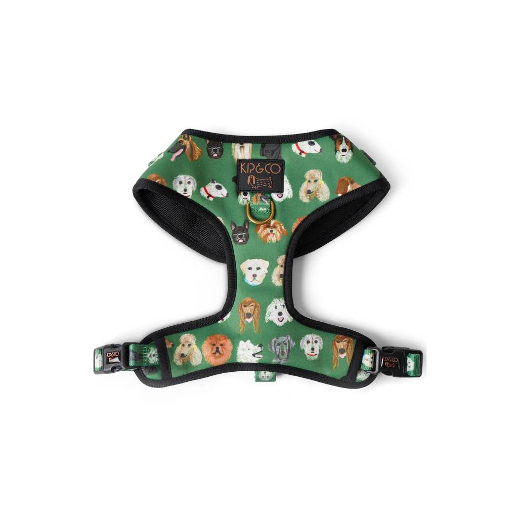 Kip & Co | Dog Park Dog Harness - Cove. Beach Essentials