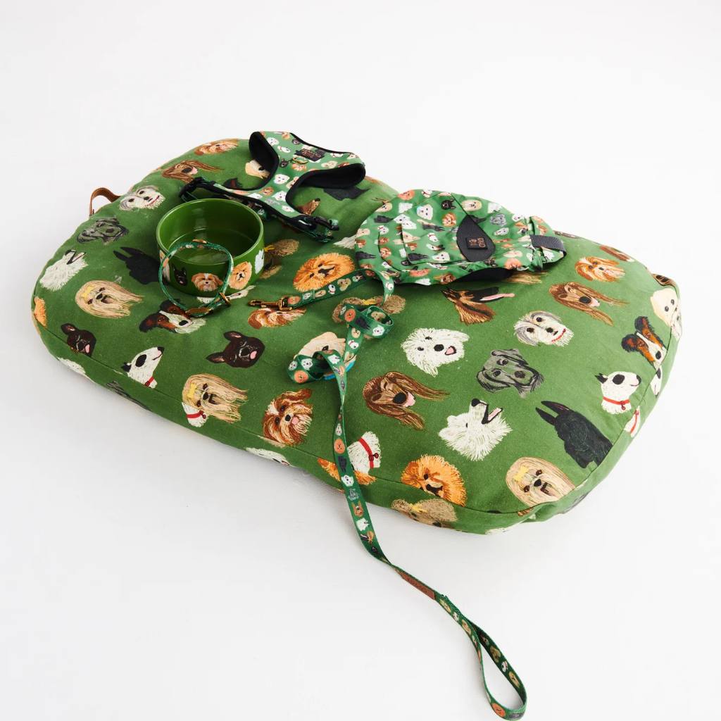 Kip & Co | Dog Park Dog Harness - Cove. Beach Essentials