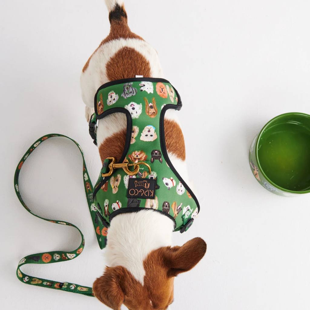 Kip & Co | Dog Park Dog Harness - Cove. Beach Essentials