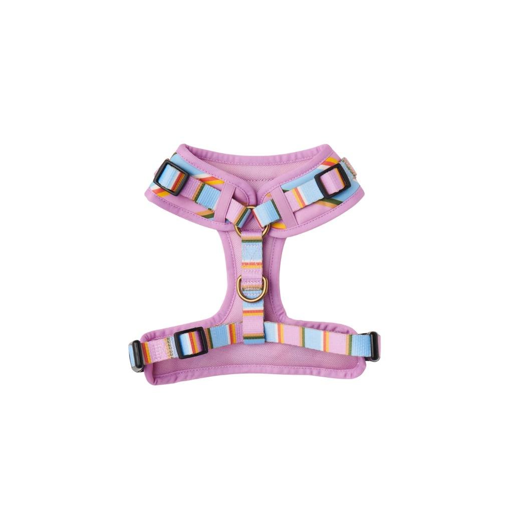 Kip & Co | Fez Stripe Dog Harness - Cove. Beach Essentials