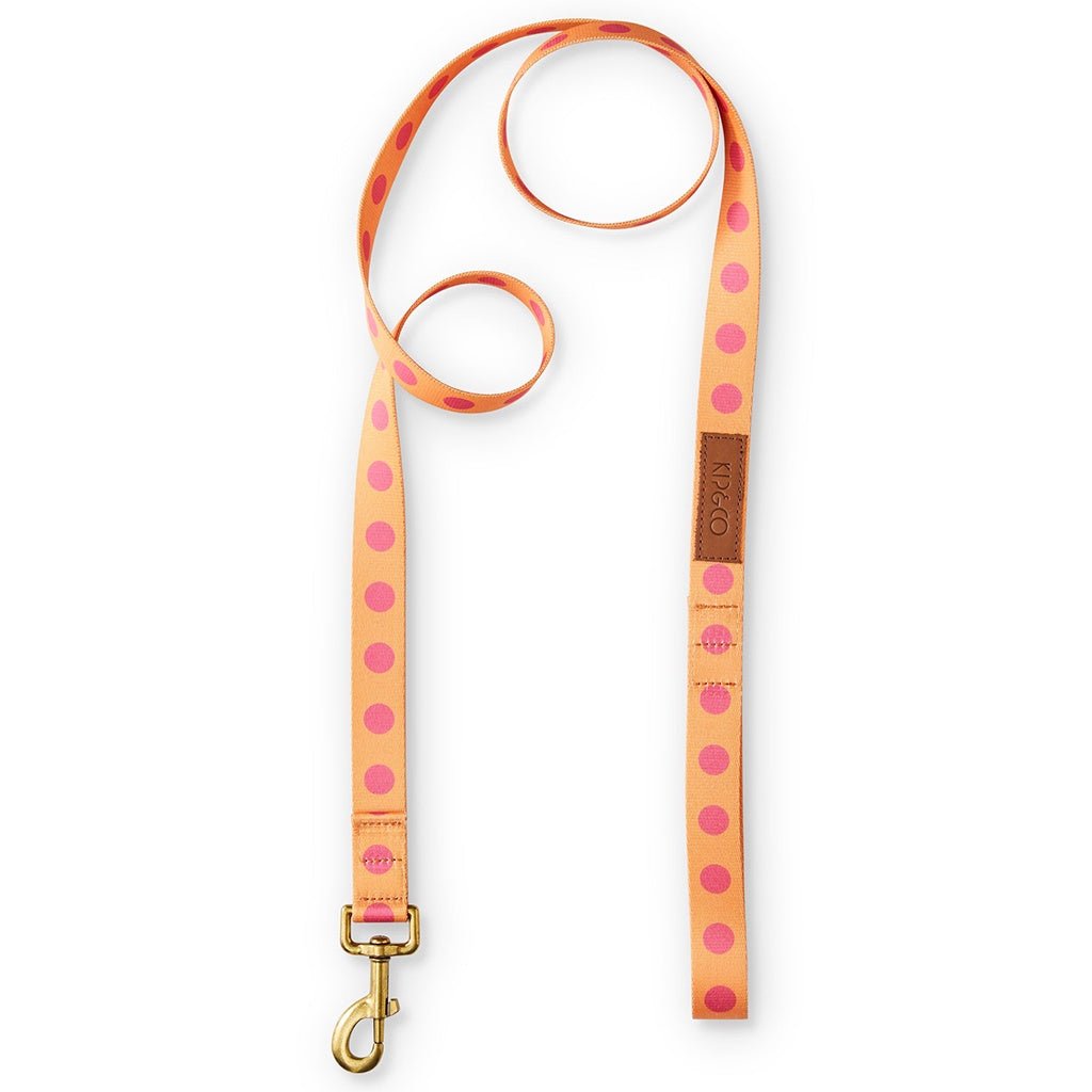 Kip &amp; Co Little Spots Dog Lead - Cove. Beach Essentials