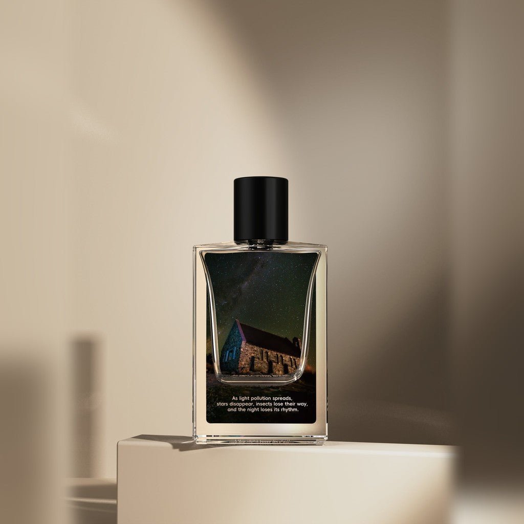 Koikki | Perfume - Lights Out/Auckland - Cove. Beach Essentials