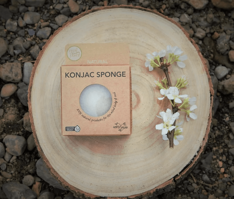 Nudi Point Konjac Sponge (Natural) - Cove. Beach Essentials