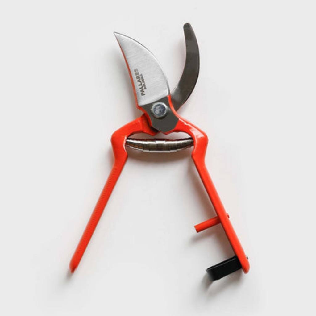Pallarès Pruning Shears | Vintage Scissors Curve | 19cm Carbon Steel - Cove. Beach Essentials