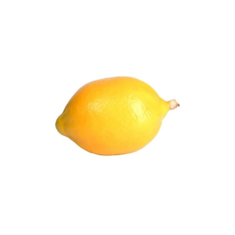 Parnell & Co | Artificial Lemon - Cove. Beach Essentials