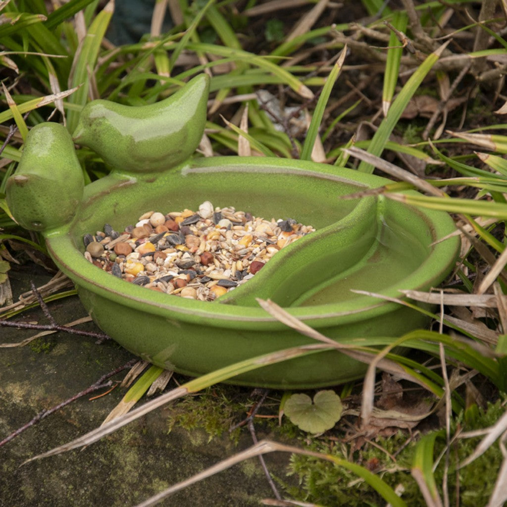 Green ceramic bird bowl filled with seed in the garden