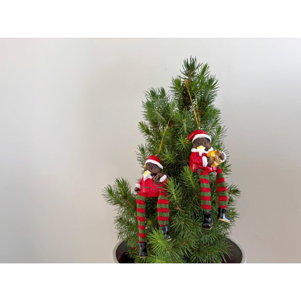 Kiwi Christmas ornaments hanging on a small tree