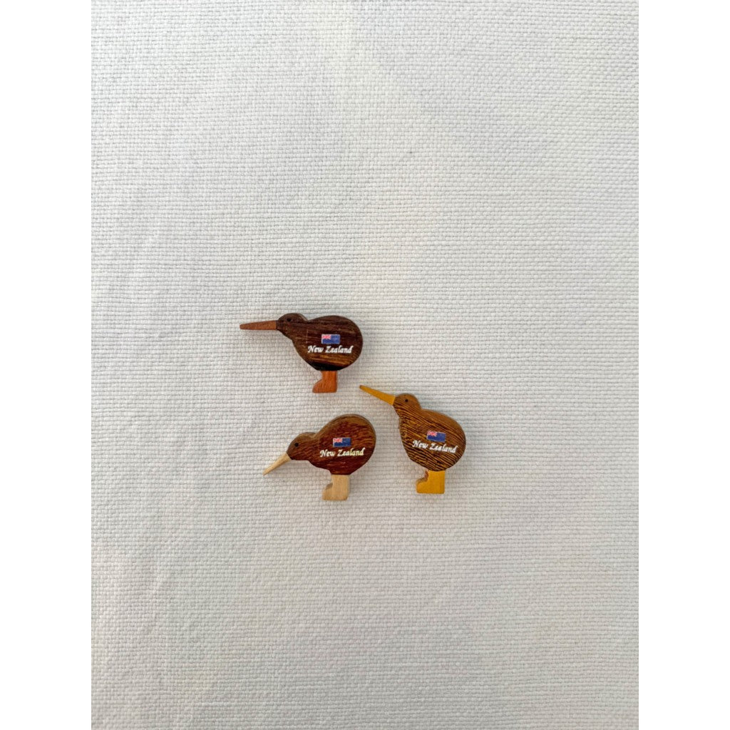 Mini wooden kiwi magnets on white