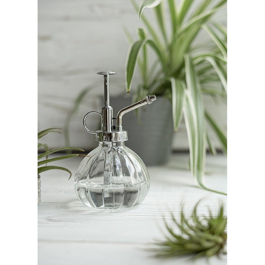 Parnell & Co | Plant Mister Clear Glass - Cove. Beach Essentials