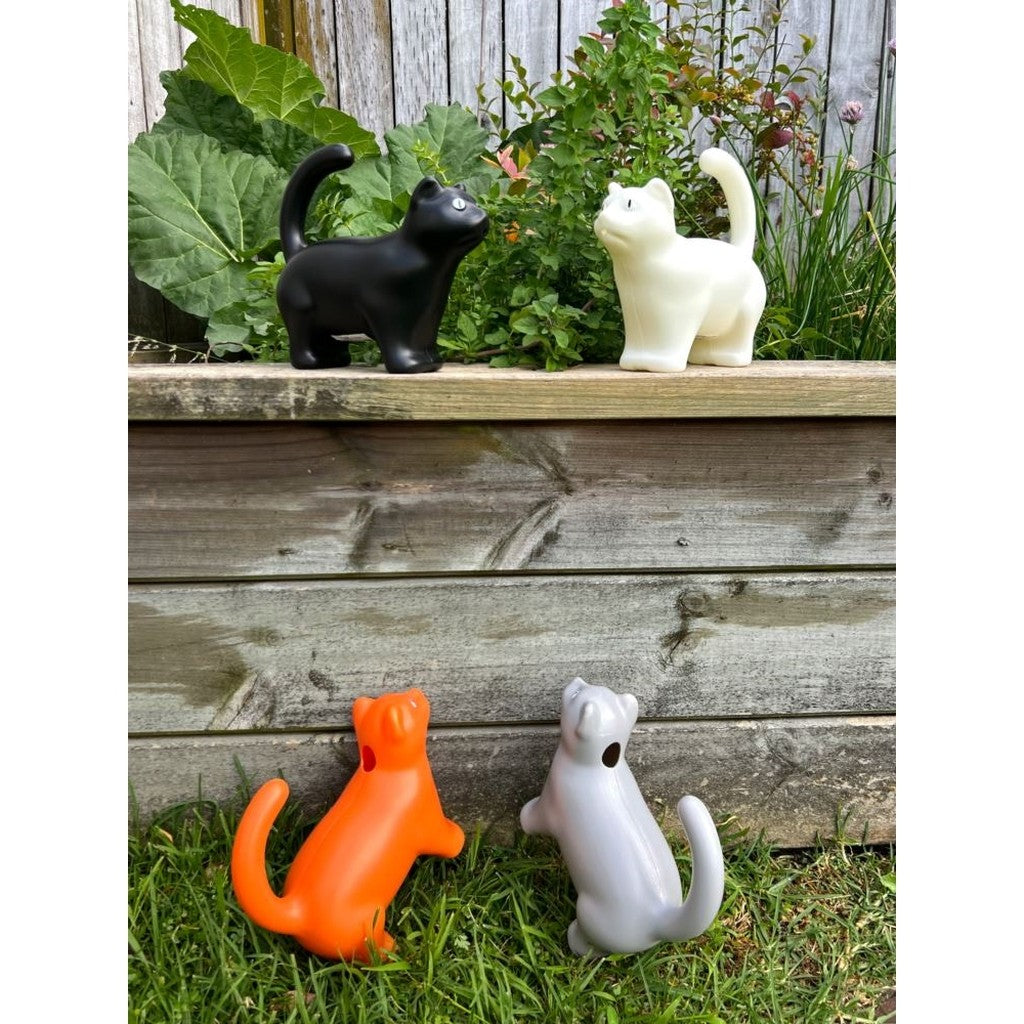 Cat watering cans on a garden planter box