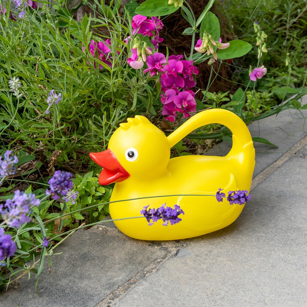 Yellow duck watering can in a flower garden
