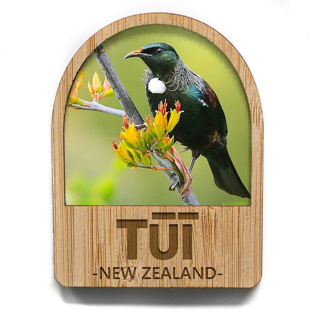 Pikitia Bamboo Magnet Tūī - Cove. Beach Essentials