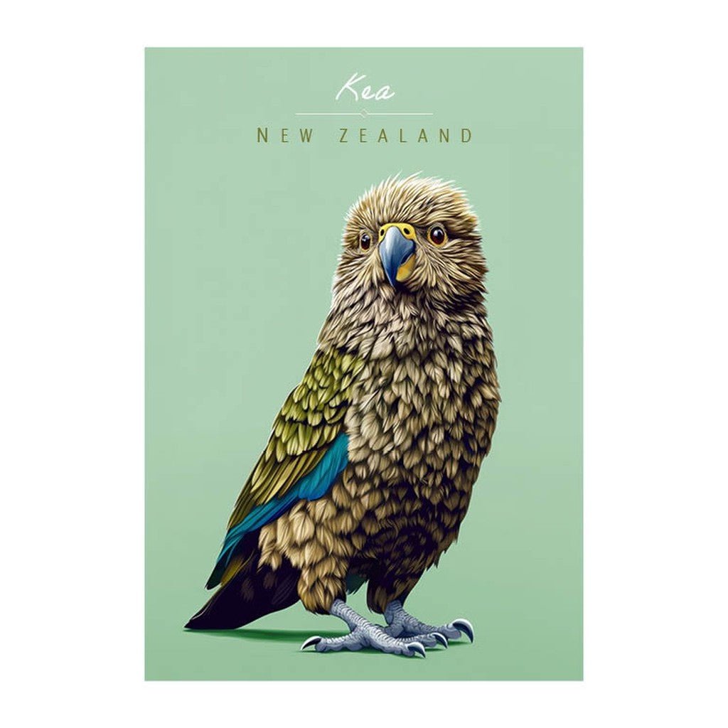 Pikitia Postcard Kea - Cove. Beach Essentials