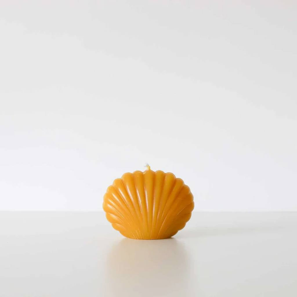 Authentic Honey Co. | Scallop Shell - Natural