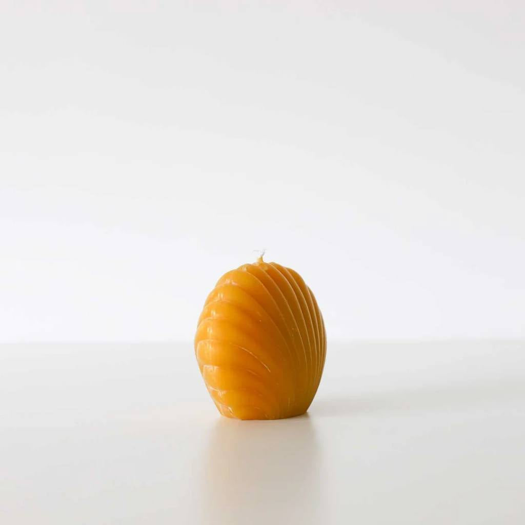 Authentic Honey Co. | Scallop Shell - Natural