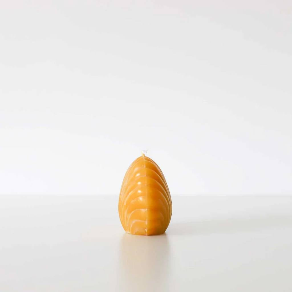 Authentic Honey Co. | Scallop Shell - Natural