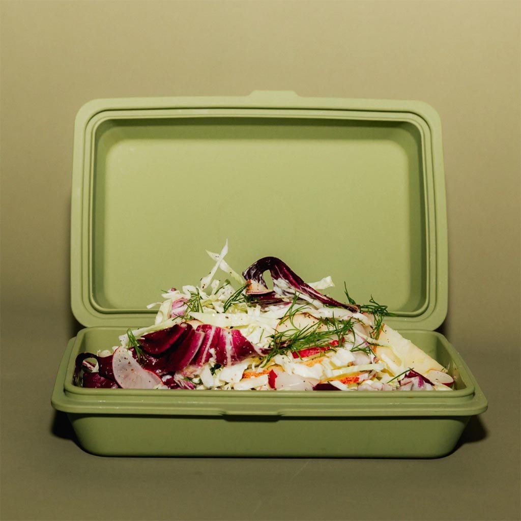 Togo Sun | The Takeaway Box - Cactus Jam - Cove. Beach Essentials