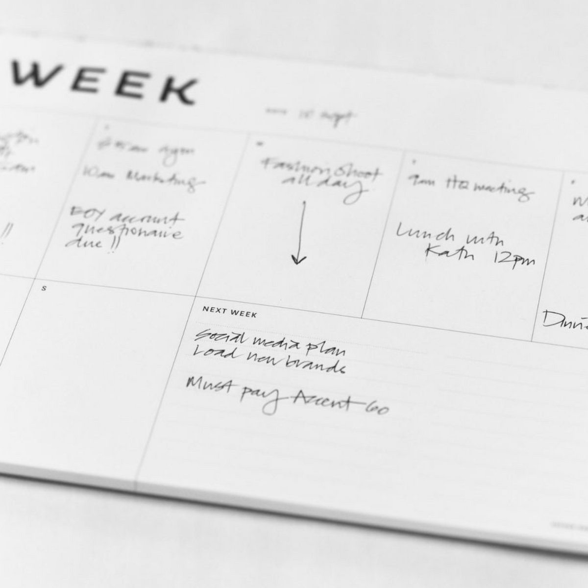 Father Rabbit Stationery | A4 Week Planner