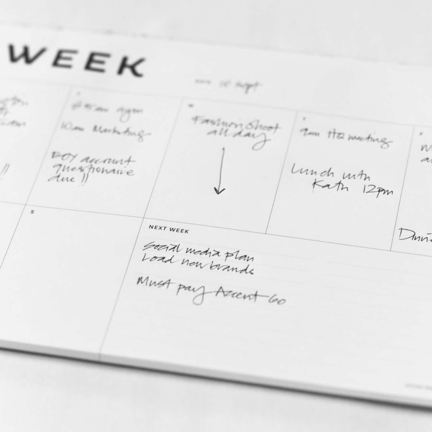 Father Rabbit Stationery | A4 Week Planner