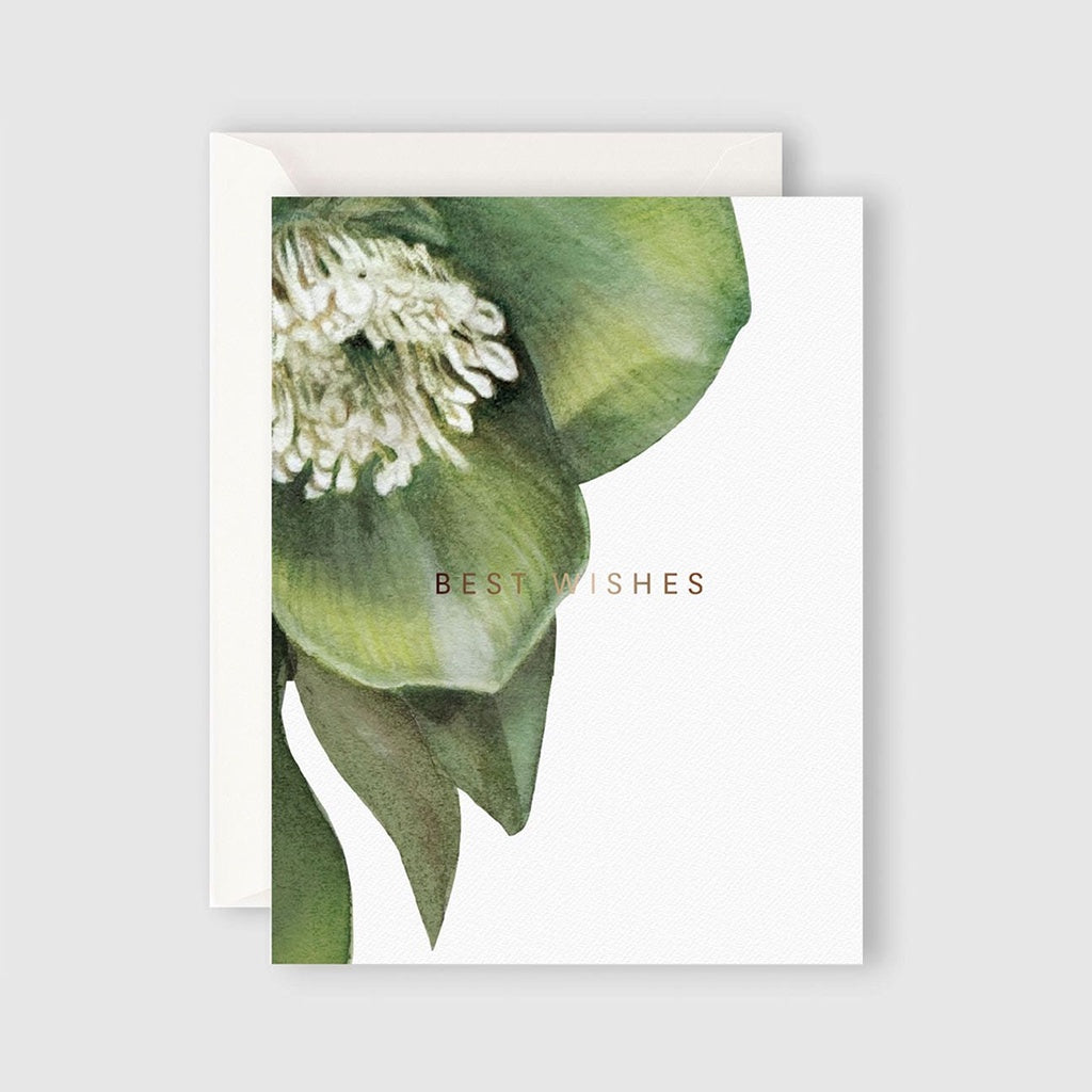 Father Rabbit Stationery Card | Hellebore Best Wishes