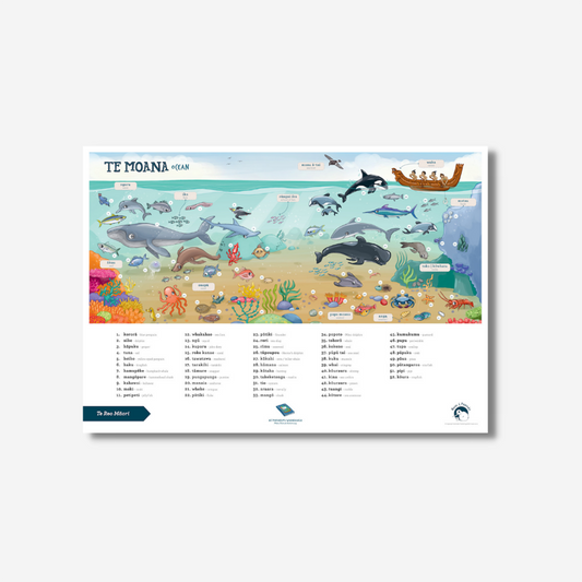 Illustrated Publishing - Poster A2 - Ocean - Te Reo Māori