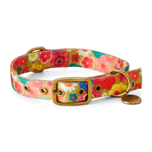 Kip & Co Flower Bed Dog Collar